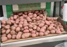 These potatoes must sell well; otherwise, they would turn green.
